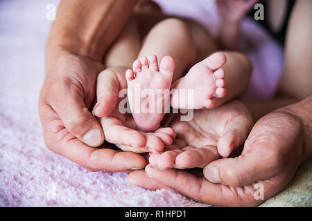 Baby père mains sur violet. Banque D'Images