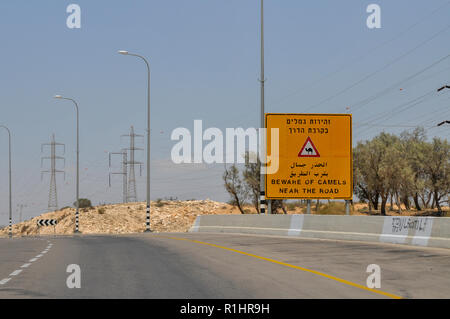 Méfiez-vous des chameaux signe. Photographié dans le désert du Néguev, Israël Banque D'Images