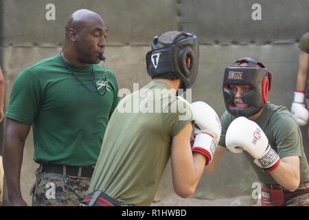 Recrute avec Lima Company, 3e Bataillon, de recrutement et de formation pour préparer le corps au cours de Spar à Marine Corps crucible recruter Depot Parris Island, S.C., 20 Septembre, 2018. Body Combat et bâtons pugilistique vous intéresse pour les recrues de la force d'appliquer les principes fondamentaux du Marine Corps arts martiaux. Banque D'Images