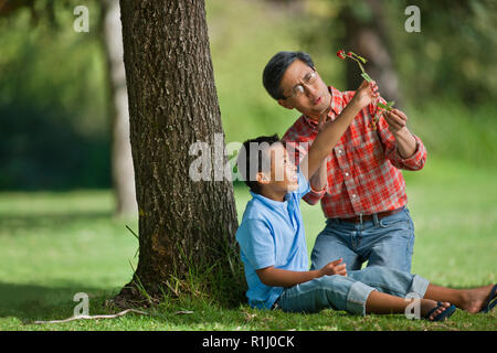 Père et fils à la fleur à un ensemble. Banque D'Images