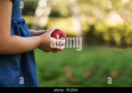 Les mains d'une jeune fille tenant une pomme rouge. Banque D'Images