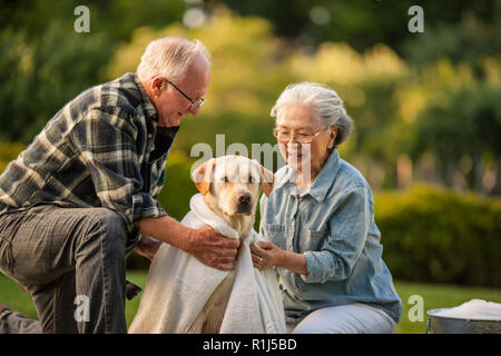 Happy senior couple echelle leur chien dans leur cour arrière. Banque D'Images