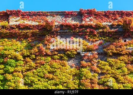 Zagreb, Croatie - Octobre 2018. Les feuilles d'automne comme décoration sur les chapelles et les pierres tombales dans le cimetière à l'automne Banque D'Images