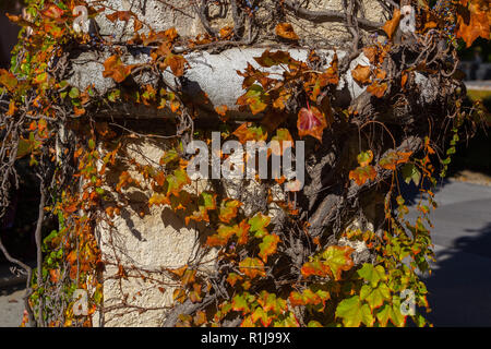 Zagreb, Croatie - Octobre 2018. Les feuilles d'automne comme décoration sur les chapelles et les pierres tombales dans le cimetière à l'automne Banque D'Images