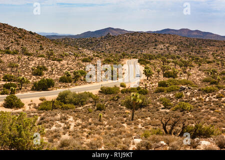 Le dirigeant d'une voiture roule sur une route sinueuse à travers les collines du parc national de Joshua Tree National Park à Joshua Tree, CA. Banque D'Images