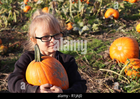 Little girl picking une citrouille dans un champ de citrouilles Banque D'Images