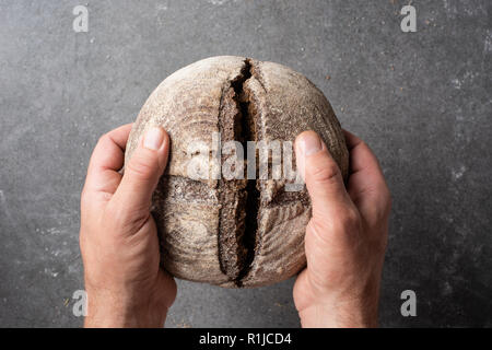 Cropped shot of man holding miche de pain de seigle dans les mains sur fond gris Banque D'Images