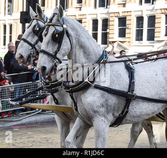 Panier blanc chevaux à Londres Banque D'Images