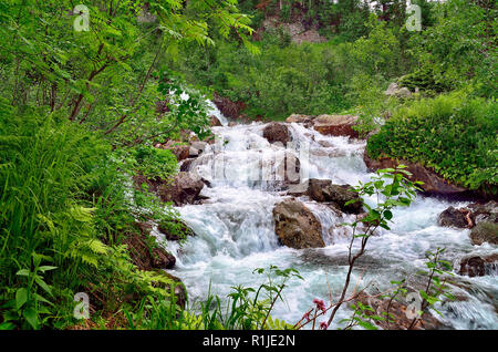 Beau paysage d'été ensoleillée. Source de courant rapide de la rivière de montagne avec les rapides, les cascades et chutes parmi des forêts denses et des grosses pierres, à l'Ouest Banque D'Images