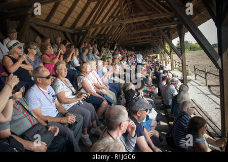 Les touristes appréciant spectacle équestre dans la région de Hongrie Puszta Banque D'Images