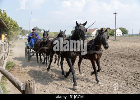 Spectacle équestre dans la région de Hongrie Puszta Banque D'Images