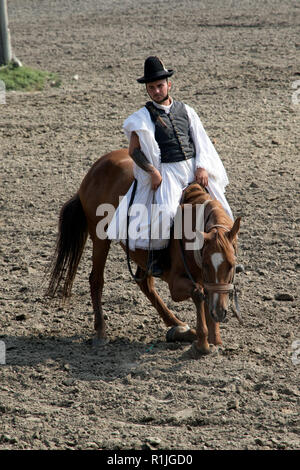 À la Cowboy spectacle équestre dans la région de Puszta en Hongrie Banque D'Images