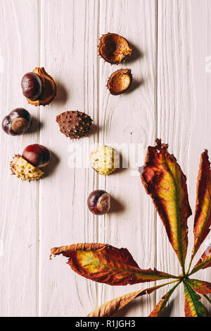 Mise à plat avec des châtaignes et des feuilles sèches sur table en bois blanc Banque D'Images