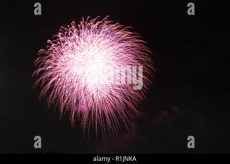 Au cours d'une explosion de Fireworks Fireworks Festival, Tokyo, Japon Banque D'Images