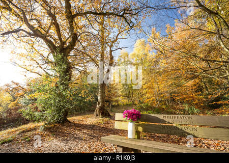 Kidderminster, Royaume-Uni. 13 novembre 2018. Météo au Royaume-Uni : le ciel bleu est magnifique dans le Worcestershire aujourd'hui, et de nombreuses personnes se promparent dans le parc et profitent des couleurs d'automne. Les fleurs sont laissées sur un banc dédié au parc à la mémoire de ceux qui ont quitté cette terre, mais évidemment ne seront jamais oubliées. Crédit : Lee Hudson/Alay Live News Banque D'Images