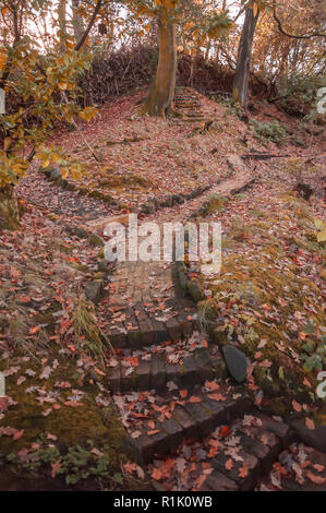 Balloch, Ecosse, Royaume-Uni. 13 novembre, 2018. Météo britannique. Un sentier forestier au cours du soleil et de douches sur une froide après-midi dans la ville de Ploubazlanec sur la rive sud du Loch Lomond. Credit : Skully/Alamy Live News Banque D'Images