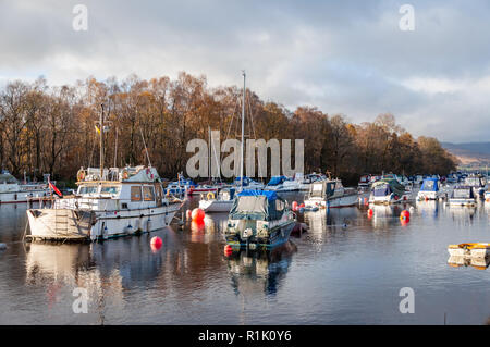 Balloch, Ecosse, Royaume-Uni. 13 novembre, 2018. Météo britannique. Balloch Marina et de la rivière Leven au cours du soleil et de douches sur une froide après-midi dans la ville de Ploubazlanec sur la rive sud du Loch Lomond. Credit : Skully/Alamy Live News Banque D'Images