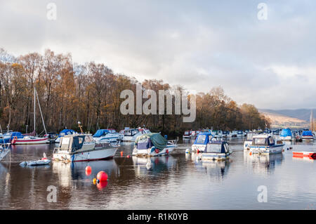 Balloch, Ecosse, Royaume-Uni. 13 novembre, 2018. Météo britannique. Balloch Marina et de la rivière Leven au cours du soleil et de douches sur une froide après-midi dans la ville de Ploubazlanec sur la rive sud du Loch Lomond. Credit : Skully/Alamy Live News Banque D'Images