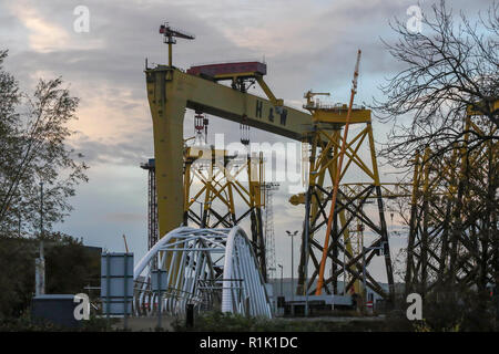 Victoria Park, Belfast, Irlande du Nord. 13 novembre 2018. Royaume-uni - un gris fin à la journée à Belfast en Irlande du Nord. La pluie est sur le chemin même si la température est douce. Grue jaune Harland & Wolff Belfast Harbour Estate. BHZ Crédit : David Hunter/Alamy Live News. Banque D'Images