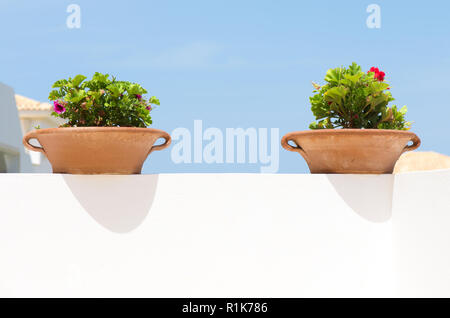 Deux pots en argile avec des fleurs sur fond de ciel bleu Banque D'Images