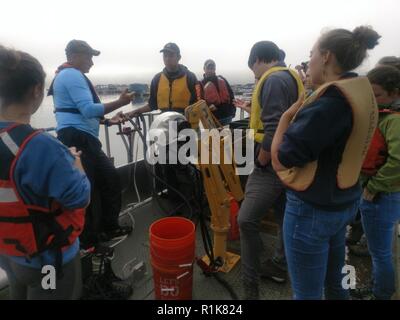 La semaine dernière, no BuffaloDistrict est associé avec le U.S. Army Corps of Engineers, Raystown Lake​ College​ Juniata et les étudiants de mener une vaste enquête sur le lac de plantes aquatiques avec l'accent sur (Hydrilla verticillata hydrilla), une plante aquatique envahissante. Banque D'Images