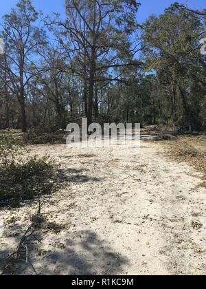 Le U.S. Army Corps of Engineers, District du projet Mobile, Jim Woodruff Lock & Dam, a subi des dommages et s'occupe des questions d'alimentation, mais elle a survécu à l'impact de l'ouragan Michael comme il l'battues Florida Gulf Coast dans Lake Seminole, en Floride Banque D'Images