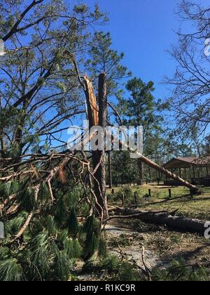 Le U.S. Army Corps of Engineers, District du projet Mobile, Jim Woodruff Lock & Dam, a subi des dommages et s'occupe des questions d'alimentation, mais elle a survécu à l'impact de l'ouragan Michael comme il l'battues Florida Gulf Coast dans Lake Seminole, en Floride Banque D'Images