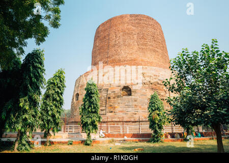 Dhamekh Stoupa s Sarnath anciennes ruines à Varanasi, Inde Banque D'Images
