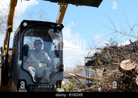 Le s.. Alex Spano, compagnon électrique du 202e de chevalier Camp Blanding, Fla., utilise une mini-pour enlever les arbres tombés dans la région de Springfield de la ville de Panama le 15 octobre 2018. Le 202e a été appelé pour leur expertise en compensation route après l'ouragan Michael est venu à travers. Banque D'Images