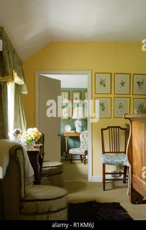 Chaises dans une chambre de style jaune Banque D'Images