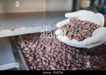 Fabrique de chocolat fèves de cacao au travailleur ayant un bac Banque D'Images