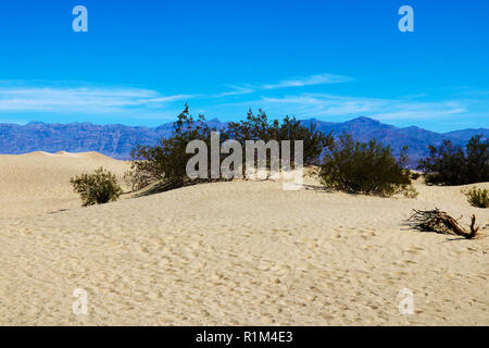 Grandes dunes du désert. Bien pour les photographes et voyageurs. De belles structures de sandy barkhans Banque D'Images