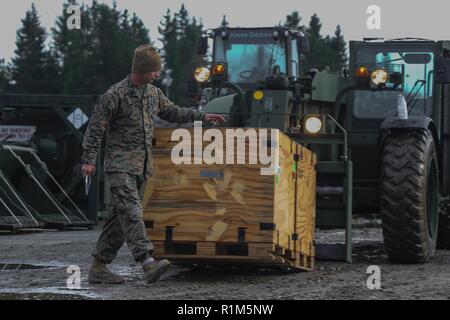 Le sergent d'artillerie du Corps des Marines des États-Unis. Matthieu T. Hale, avec l'arrivée et les opérations d'assemblage, 2e élément de la logistique maritime, Group-Forward vérifie les numéros de série de l'équipement au cours de l'exercice Trident stade 18 dans l'enfer, la Norvège, le 15 octobre 2018. Les Marines déchargés des camions qui a rendu la puissance supplémentaire et de panneaux solaires pour le camp. Stade Trident 18 améliore les États-Unis et ses alliés de l'Otan et partenaires capacité à travailler ensemble collectivement pour mener des opérations militaires dans des conditions difficiles. Banque D'Images