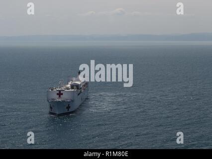 ESMERALDAS (Équateur (oct. 20, 2018) - Le navire-hôpital USNS Comfort (T-AH 20) est stationné au large de la côte de l'Equateur dans le cadre d'un soutien médical de 11 semaines de mission d'Amérique centrale et du Sud dans le cadre du U.S. Southern Command's Enduring promesse initiative. Travailler avec des partenaires gouvernementaux et de santé en Équateur, au Pérou, en Colombie et au Honduras, l'équipe médicale a entrepris des soins à bord et dans les sites médicaux, aide à relâcher la pression sur les systèmes médicaux causée en partie par une augmentation des migrants transfrontaliers. Le déploiement reflète la promesse durable de Banque D'Images