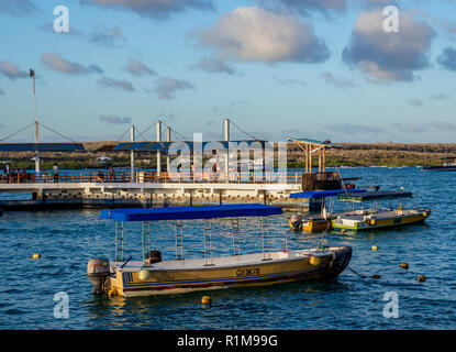 Port de Puerto Ayora, Santa Cruz ou île infatigable, Galapagos, Equateur Banque D'Images