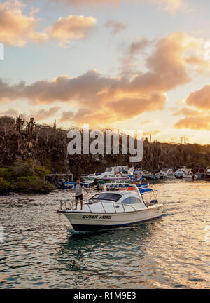 Port de Puerto Ayora au coucher du soleil, ou l'île de Santa Cruz infatigable, Galapagos, Equateur Banque D'Images