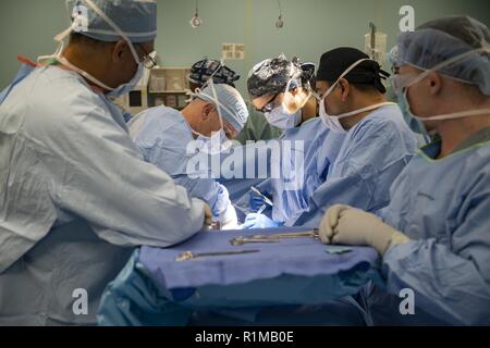 ESMERALDAS (Équateur (oct. 22, 2018) - le personnel médical, y compris militaires, le personnel médical pays partenaire, et des étudiants en médecine de l'Amérique centrale et du Sud, aider le Cmdr. Matthew Bradley (centre-gauche) avec une chirurgie hernie ombilicale à bord du navire-hôpital USNS Comfort (T-AH 20). Le confort est de 11 semaines sur une mission d'appui médical à l'Amérique centrale et du Sud dans le cadre du U.S. Southern Command's Enduring promesse initiative. Travailler avec des partenaires gouvernementaux et de santé en Équateur, au Pérou, en Colombie et au Honduras, l'équipe médicale a entrepris des soins à bord et dans les medic Banque D'Images