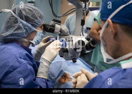 ESMERALDAS (Équateur (oct. 22, 2018) - Dr. Maggie Cardonell, un ophtalmologiste avec Global Premier répondant et un professeur de l'Université du Missouri, examine l'œil d'un patient pendant la chirurgie, un ptérygion dépose la croissance de la cornée, à bord du navire-hôpital USNS Comfort (T-AH 20). Le confort est de 11 semaines sur une mission d'appui médical à l'Amérique centrale et du Sud dans le cadre du U.S. Southern Command's Enduring promesse initiative. Travailler avec des partenaires gouvernementaux et de santé en Équateur, au Pérou, en Colombie et au Honduras, l'équipe médicale a entrepris des soins à bord et dans les sites médicaux, helpi Banque D'Images