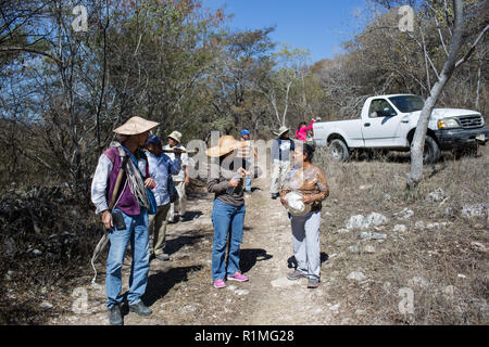 Un groupe de membres de la famille des proches disparus recherchez les montagnes Huitzuco, Guerrero, Mexique, le 7 février 2016 pour tombes clandestines. Suite à la disparition de 43 étudiants dans un proche par communauté d'Iguala, des groupes de personnes se sont organisées afin d'aider à retrouver les restes de personnes assassinées. Banque D'Images