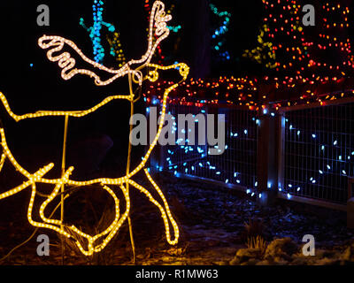 Le wapiti a fait de lumières DEL Zoolights au Zoo de Calgary à Calgary, Alberta. Les lumières du Zoo est un événement qui s'exécute en décembre de chaque année au Zoo de Calgary. Banque D'Images