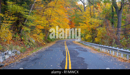 Un pays rural road voyages entre des arbres présentant des couleurs de l'automne à l'approche de l'hiver Banque D'Images