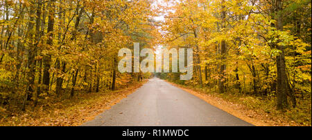 Un pays rural road voyages entre des arbres présentant des couleurs de l'automne à l'approche de l'hiver Banque D'Images