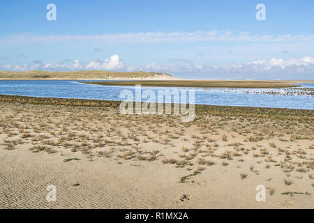 Dans le Slufter les dunes de Texel Parc National dans les Pays-Bas Banque D'Images