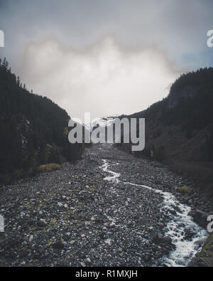 Parc national de Mount Rainier Banque D'Images