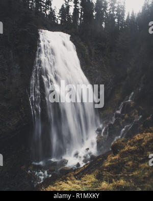 Parc national de Mount Rainier Banque D'Images