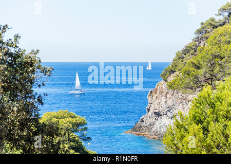 Le littoral à l'été l'île de Porquerolles Banque D'Images