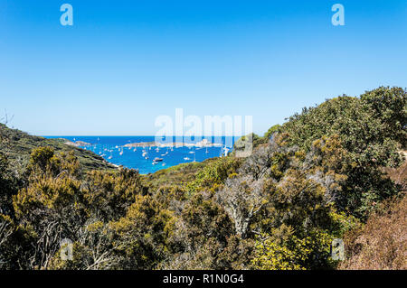 Le littoral à l'été l'île de Porquerolles Banque D'Images