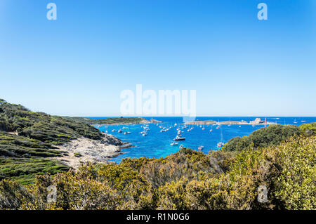 Le littoral à l'été l'île de Porquerolles Banque D'Images