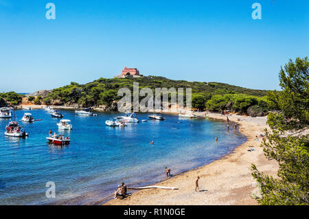 Le littoral à l'été l'île de Porquerolles Banque D'Images