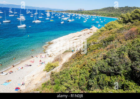 Le littoral à l'été l'île de Porquerolles Banque D'Images